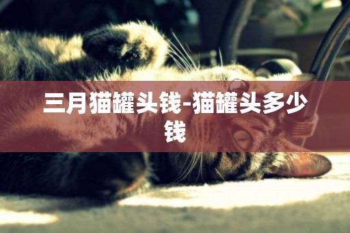 三月貓罐頭錢-貓罐頭多少錢