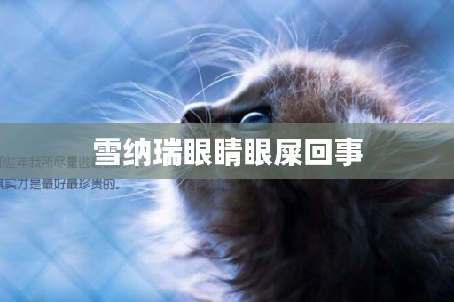 雪納瑞眼睛眼屎回事