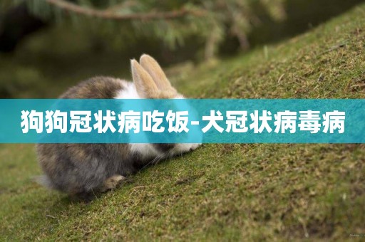 狗狗冠狀病吃飯-犬冠狀病毒病