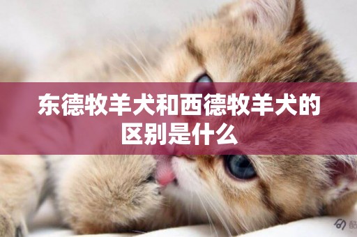 東德牧羊犬和西德牧羊犬的區別是什么