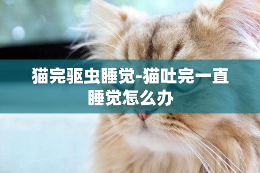 貓完驅蟲睡覺-貓吐完一直睡覺怎么辦