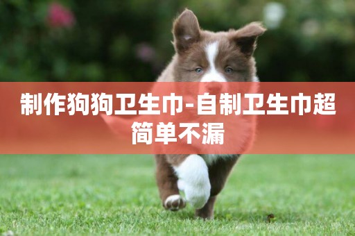 制作狗狗衛生巾-自制衛生巾超簡單不漏