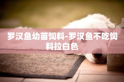 羅漢魚幼苗飼料-羅漢魚不吃飼料拉白色