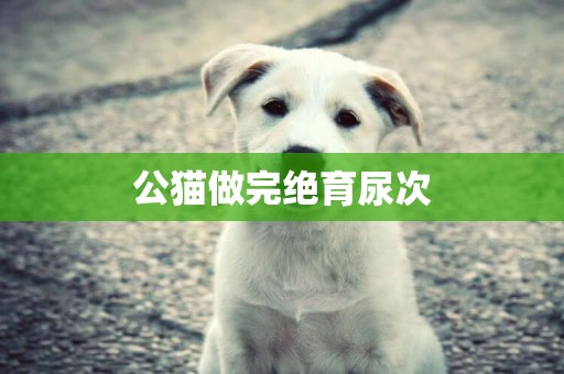 公貓做完絕育尿次