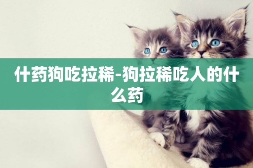 什藥狗吃拉稀-狗拉稀吃人的什么藥