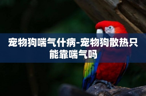 寵物狗喘氣什病-寵物狗散熱只能靠喘氣嗎