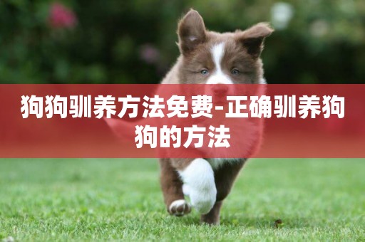 狗狗馴養方法免費-正確馴養狗狗的方法