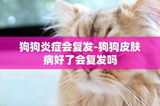 狗狗炎癥會復發-狗狗皮膚病好了會復發嗎