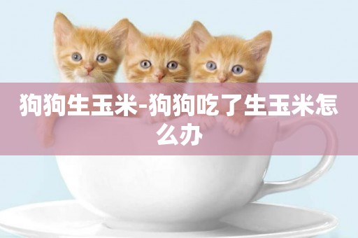 狗狗生玉米-狗狗吃了生玉米怎么辦