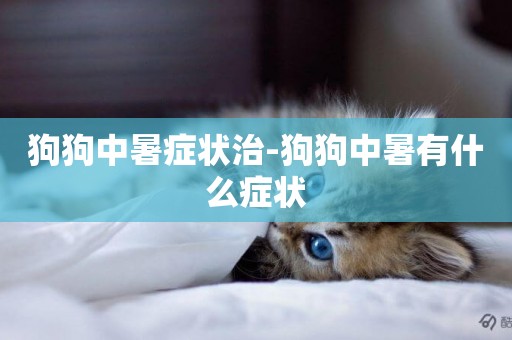 狗狗中暑癥狀治-狗狗中暑有什么癥狀