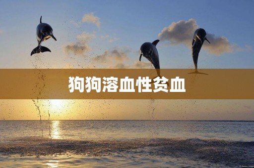 狗狗溶血性貧血