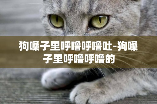 狗嗓子里呼嚕呼嚕吐-狗嗓子里呼嚕呼嚕的