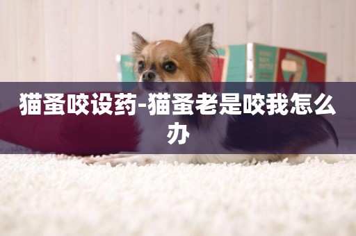 貓蚤咬設藥-貓蚤老是咬我怎么辦