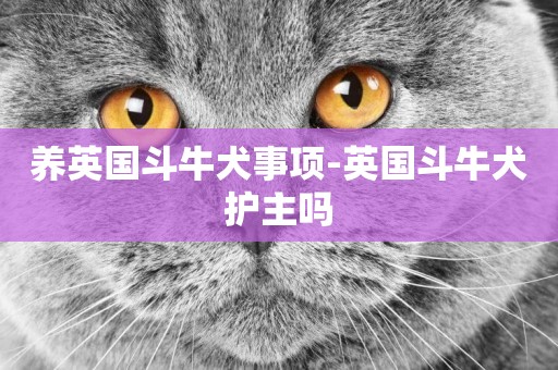 養英國斗牛犬事項-英國斗牛犬護主嗎