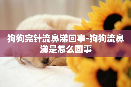 狗狗完針流鼻涕回事-狗狗流鼻涕是怎么回事