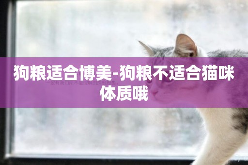 狗糧適合博美-狗糧不適合貓咪體質哦