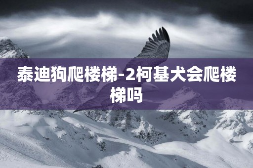 泰迪狗爬樓梯-2柯基犬會爬樓梯嗎