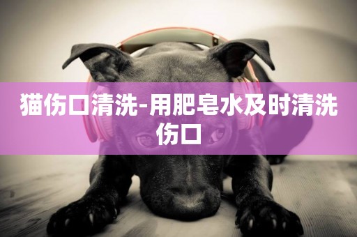 貓傷口清洗-用肥皂水及時清洗傷口