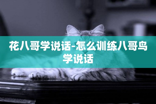 花八哥學說話-怎么訓練八哥鳥學說話
