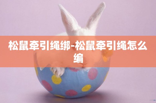 松鼠牽引繩綁-松鼠牽引繩怎么編