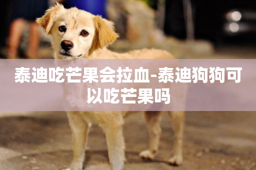 泰迪吃芒果會拉血-泰迪狗狗可以吃芒果嗎