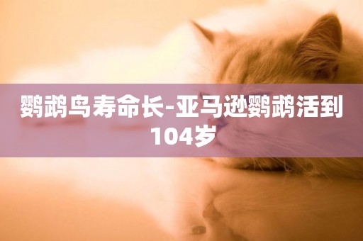 鸚鵡鳥壽命長-亞馬遜鸚鵡活到104歲
