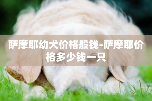 薩摩耶幼犬價格般錢-薩摩耶價格多少錢一只