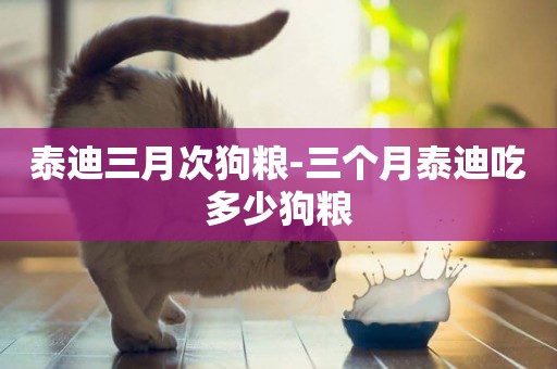 泰迪三月次狗糧-三個月泰迪吃多少狗糧