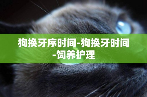 狗換牙序時間-狗換牙時間-飼養護理