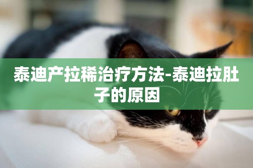泰迪產拉稀治療方法-泰迪拉肚子的原因