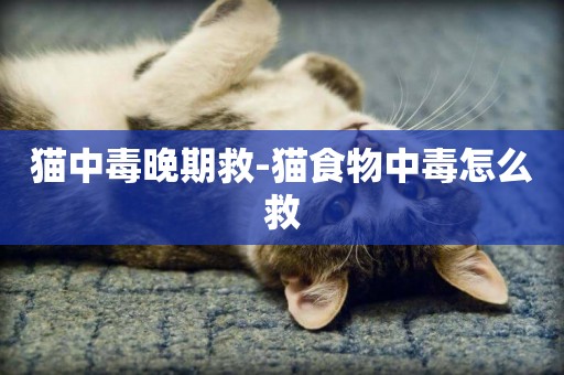 貓中毒晚期救-貓食物中毒怎么救