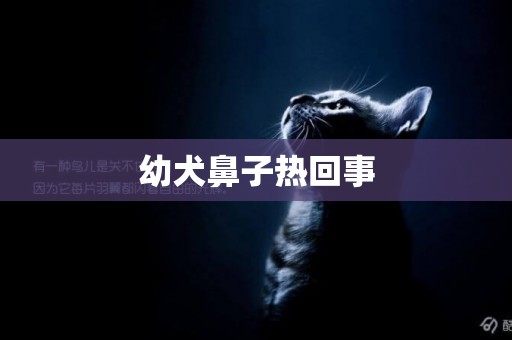 幼犬鼻子熱回事