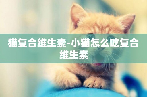 貓復合維生素-小貓怎么吃復合維生素