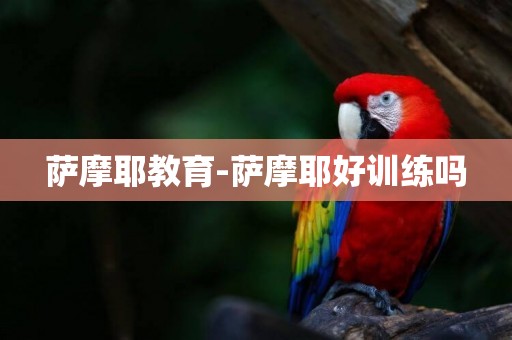 薩摩耶教育-薩摩耶好訓練嗎