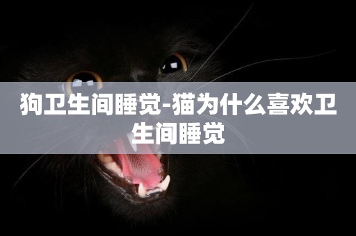 狗衛生間睡覺-貓為什么喜歡衛生間睡覺