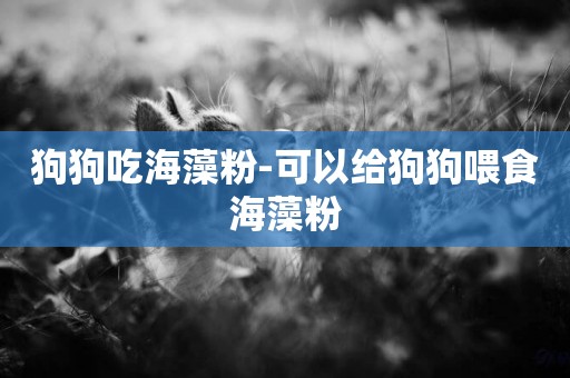 狗狗吃海藻粉-可以給狗狗喂食海藻粉