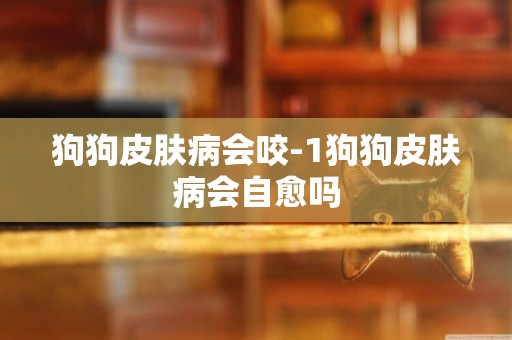 狗狗皮膚病會咬-1狗狗皮膚病會自愈嗎