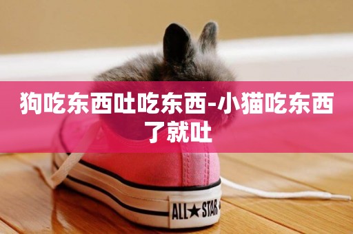 狗吃東西吐吃東西-小貓吃東西了就吐