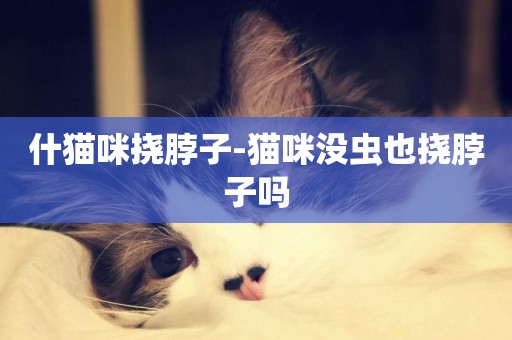什貓咪撓脖子-貓咪沒蟲也撓脖子嗎
