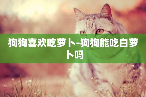 狗狗喜歡吃蘿卜-狗狗能吃白蘿卜嗎