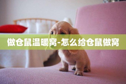 做倉鼠溫暖窩-怎么給倉鼠做窩
