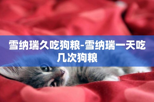 雪納瑞久吃狗糧-雪納瑞一天吃幾次狗糧