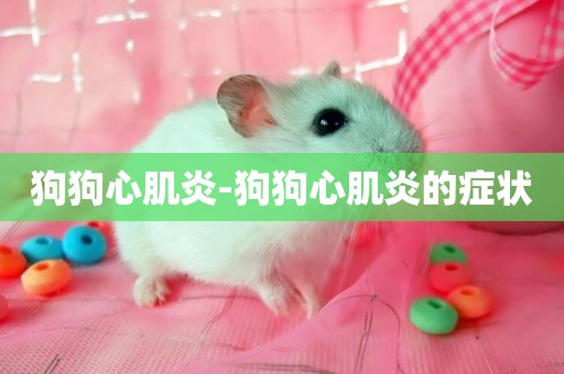 狗狗心肌炎-狗狗心肌炎的癥狀