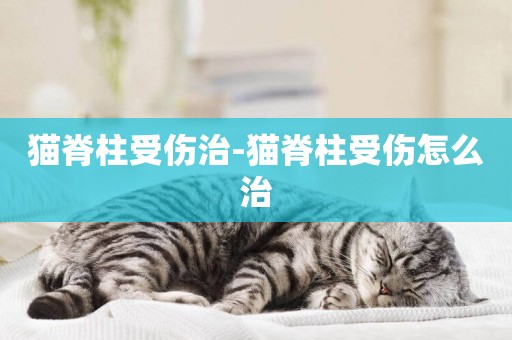 貓脊柱受傷治-貓脊柱受傷怎么治