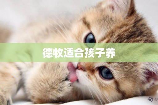 德牧適合孩子養