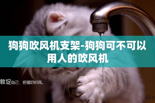 狗狗吹風機支架-狗狗可不可以用人的吹風機