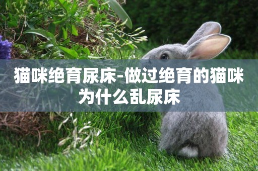 貓咪絕育尿床-做過絕育的貓咪為什么亂尿床