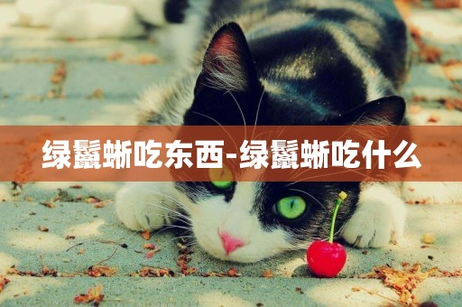 綠鬣蜥吃東西-綠鬣蜥吃什么