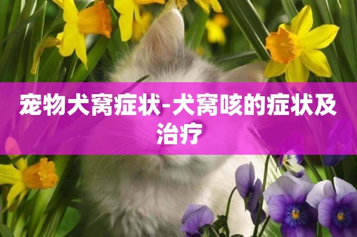 寵物犬窩癥狀-犬窩咳的癥狀及治療
