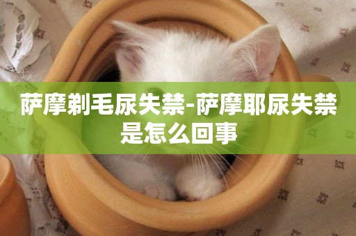 薩摩剃毛尿失禁-薩摩耶尿失禁是怎么回事